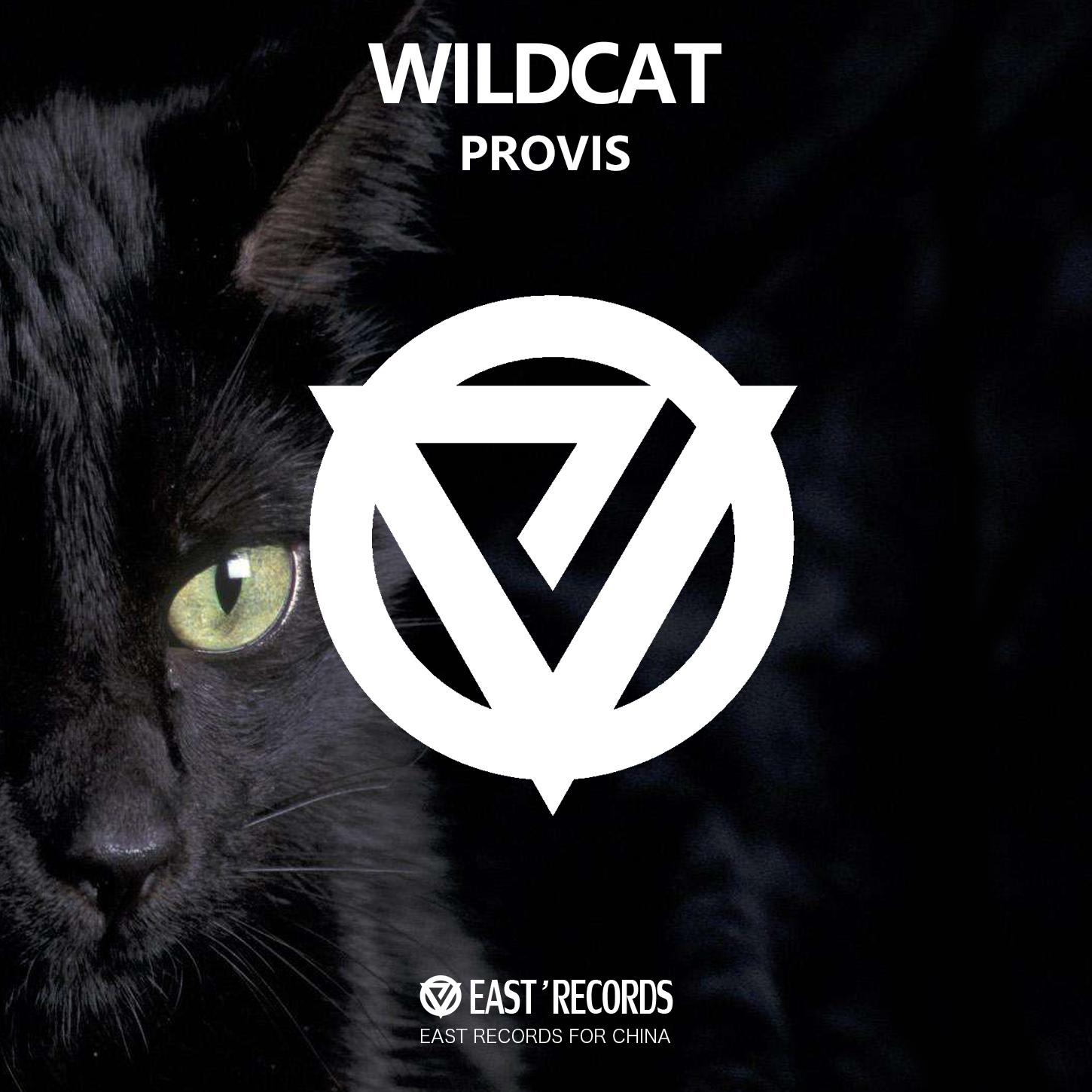 Wildcat（野猫）专辑