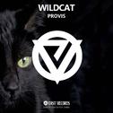Wildcat（野猫）专辑