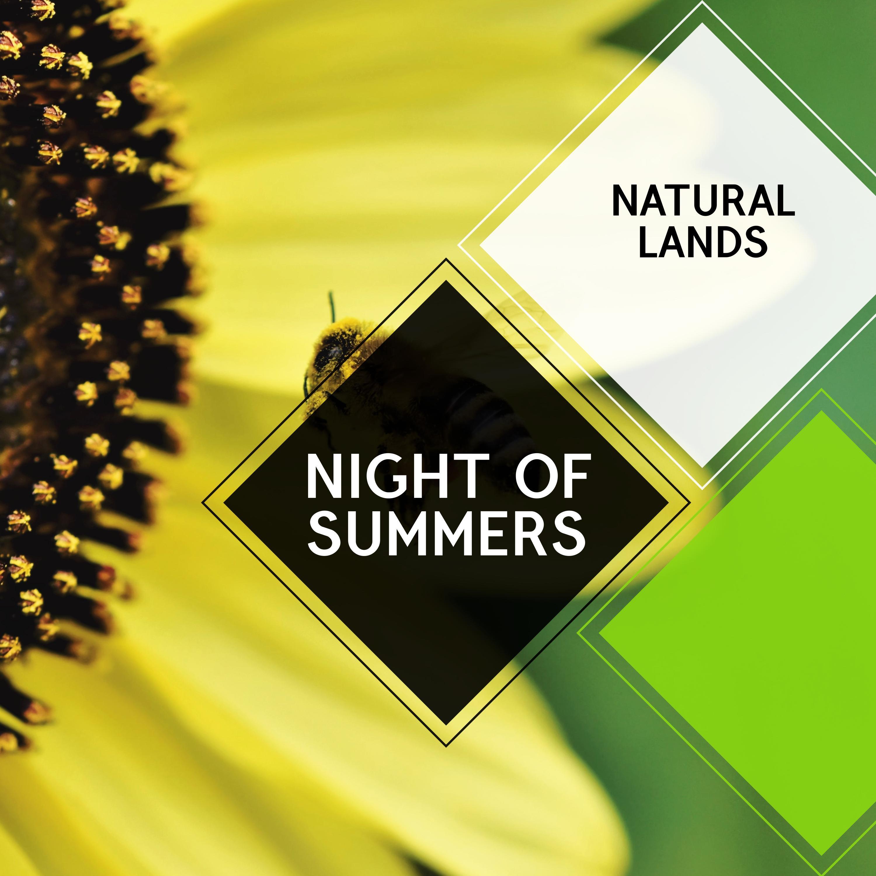Night of Summers - Natural Lands