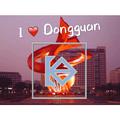 I love Dongguan