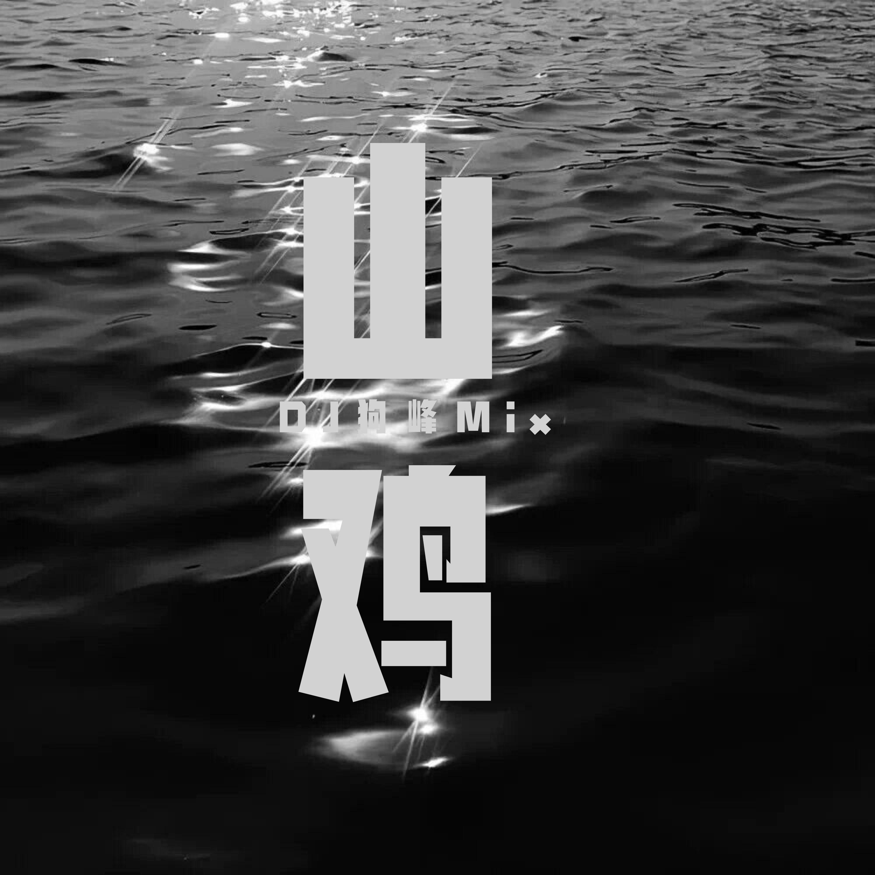 Dj狗峰Remix歌曲封面