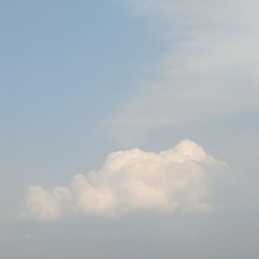 Willing to go with you