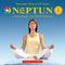 25 Years: The Very Best of NEPTUN专辑
