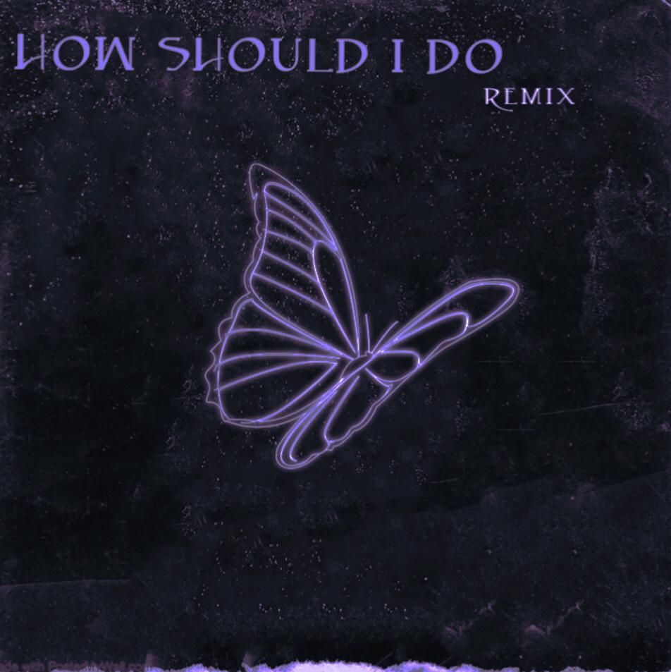 How should i do（NIKOMAX remix）