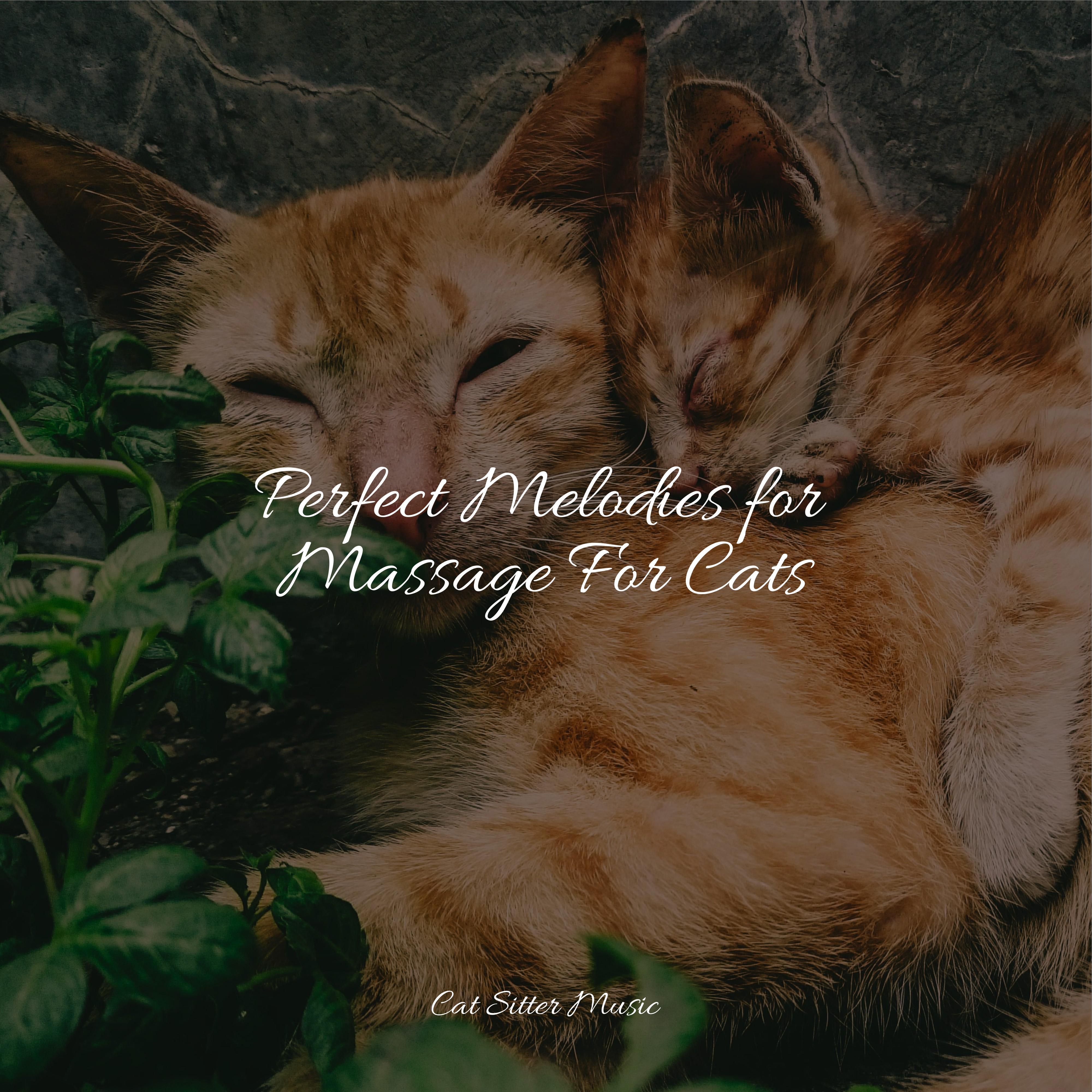 Cat Music - Ambient Soundscape for Sleep