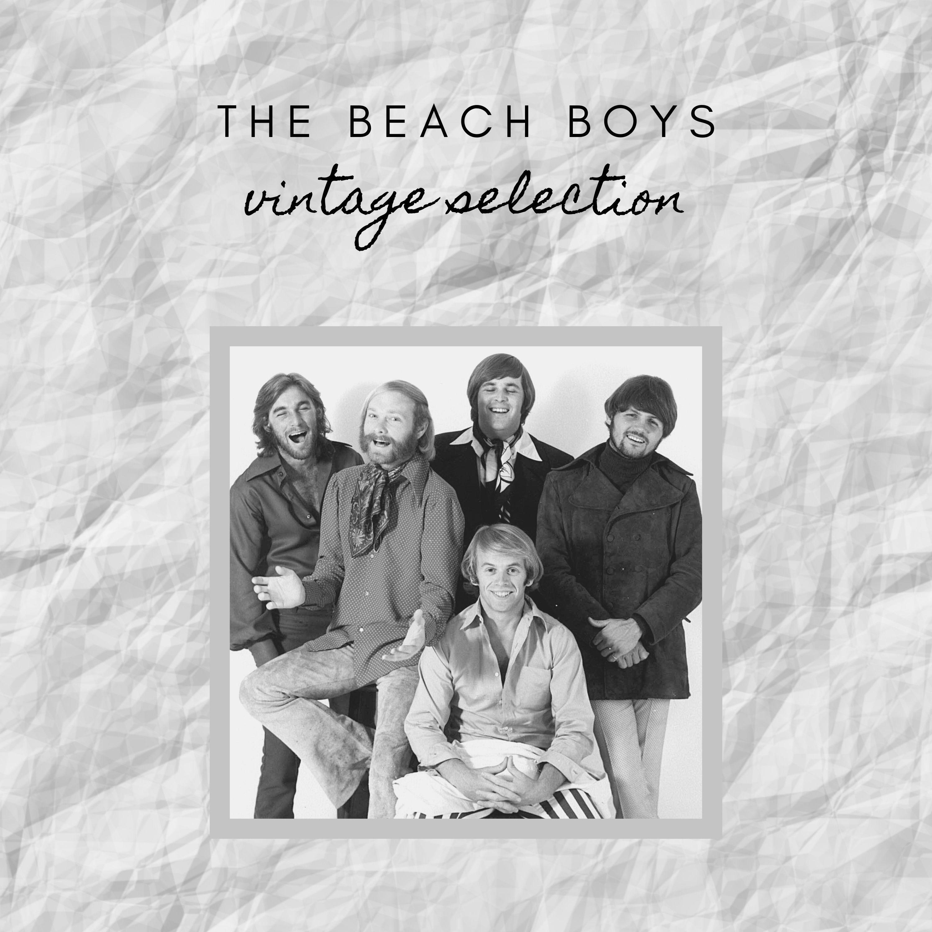 The Beach Boys - Vintage Selection