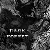 Dark Forest(黑暗森林)