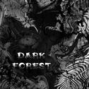 Dark Forest专辑