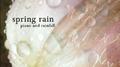 Spring Rain Piano and Rainfall专辑