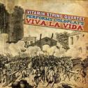 Vitamin String Quartet Performs Coldplay's Viva La Vida专辑