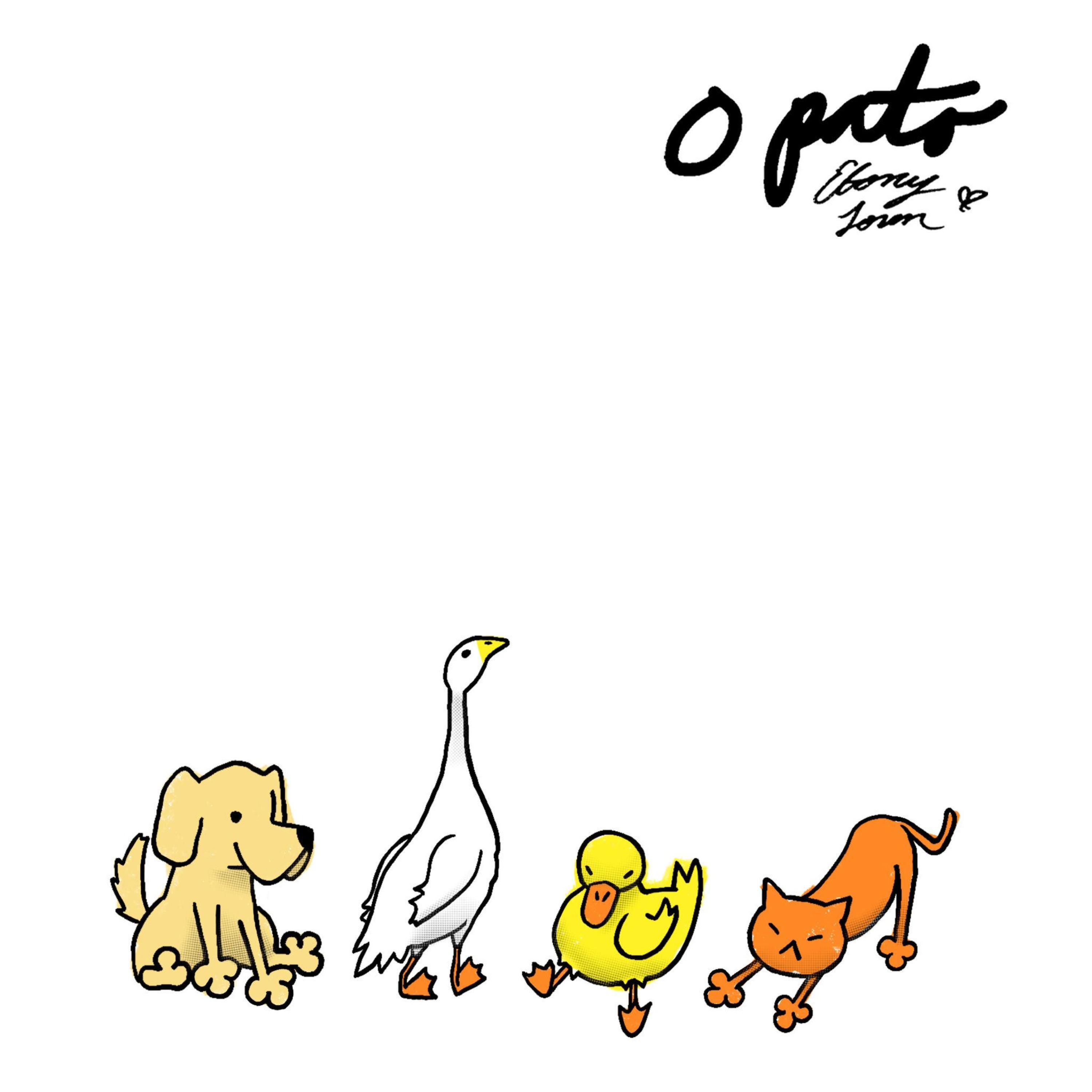 O Pato
