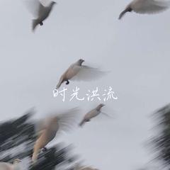 时光洪流【片段版】