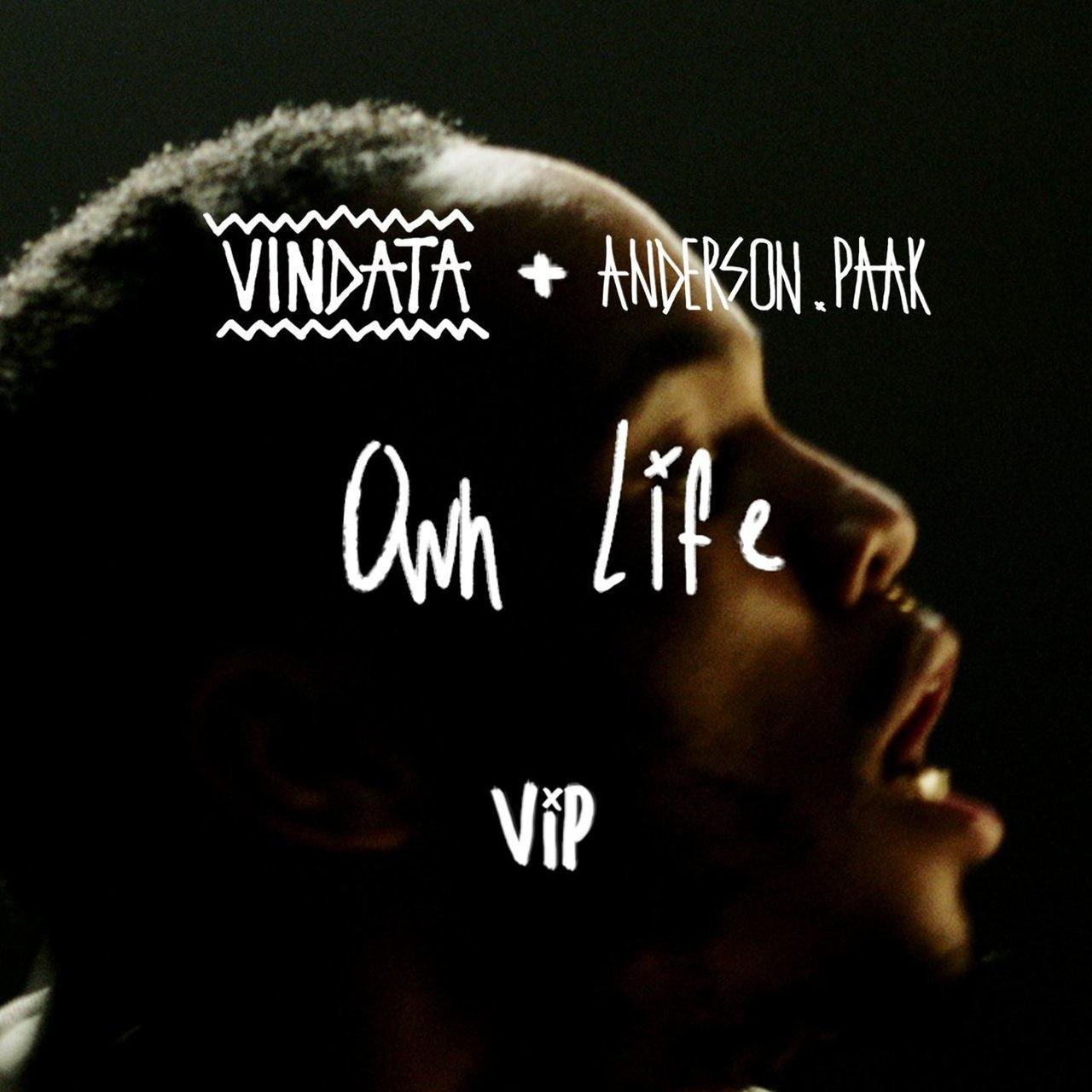 Vindata - Own Life VIP