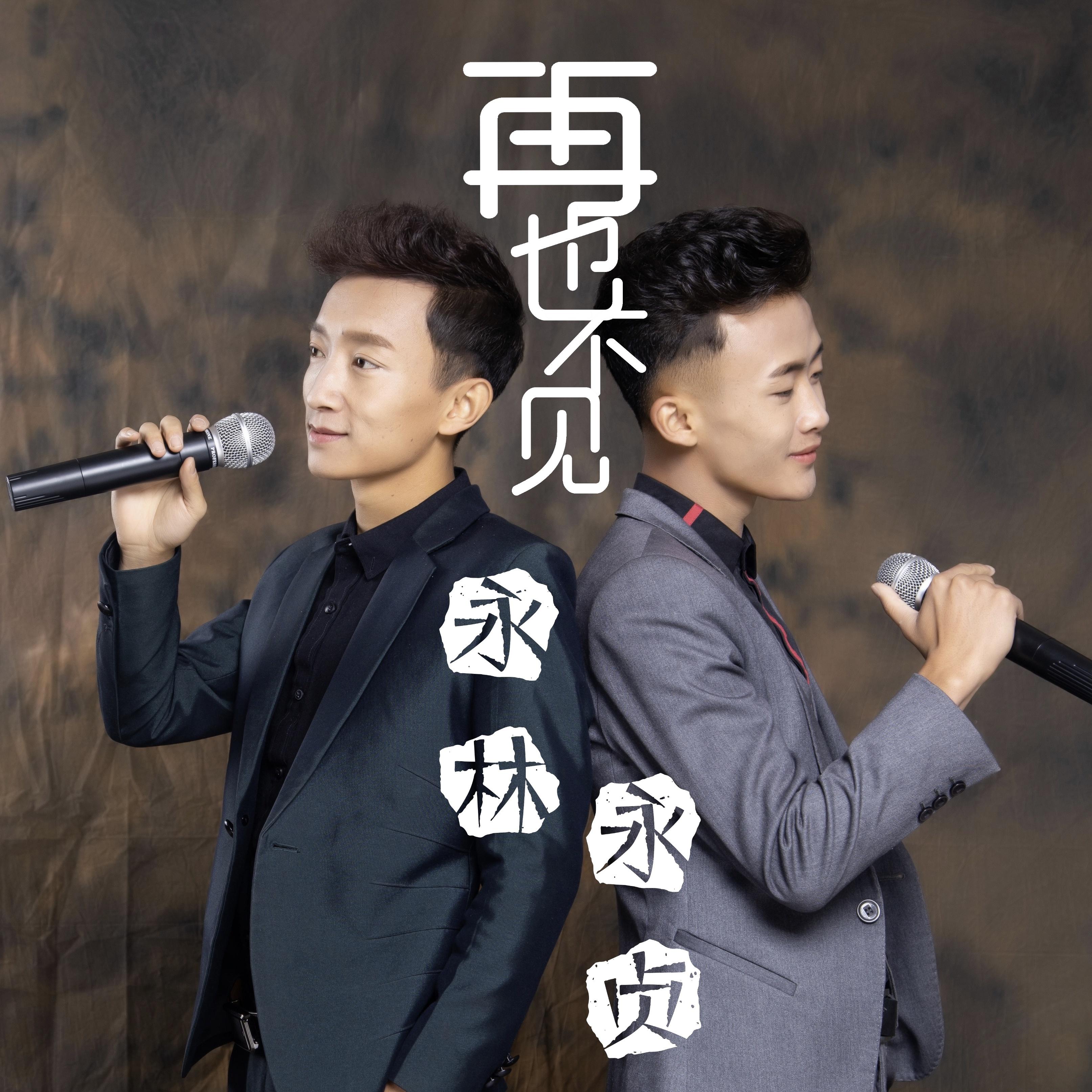 再也不见 - 永林/永贞 - 单曲 - 网易云音乐