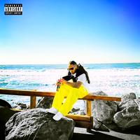 SERG - The Way I See It