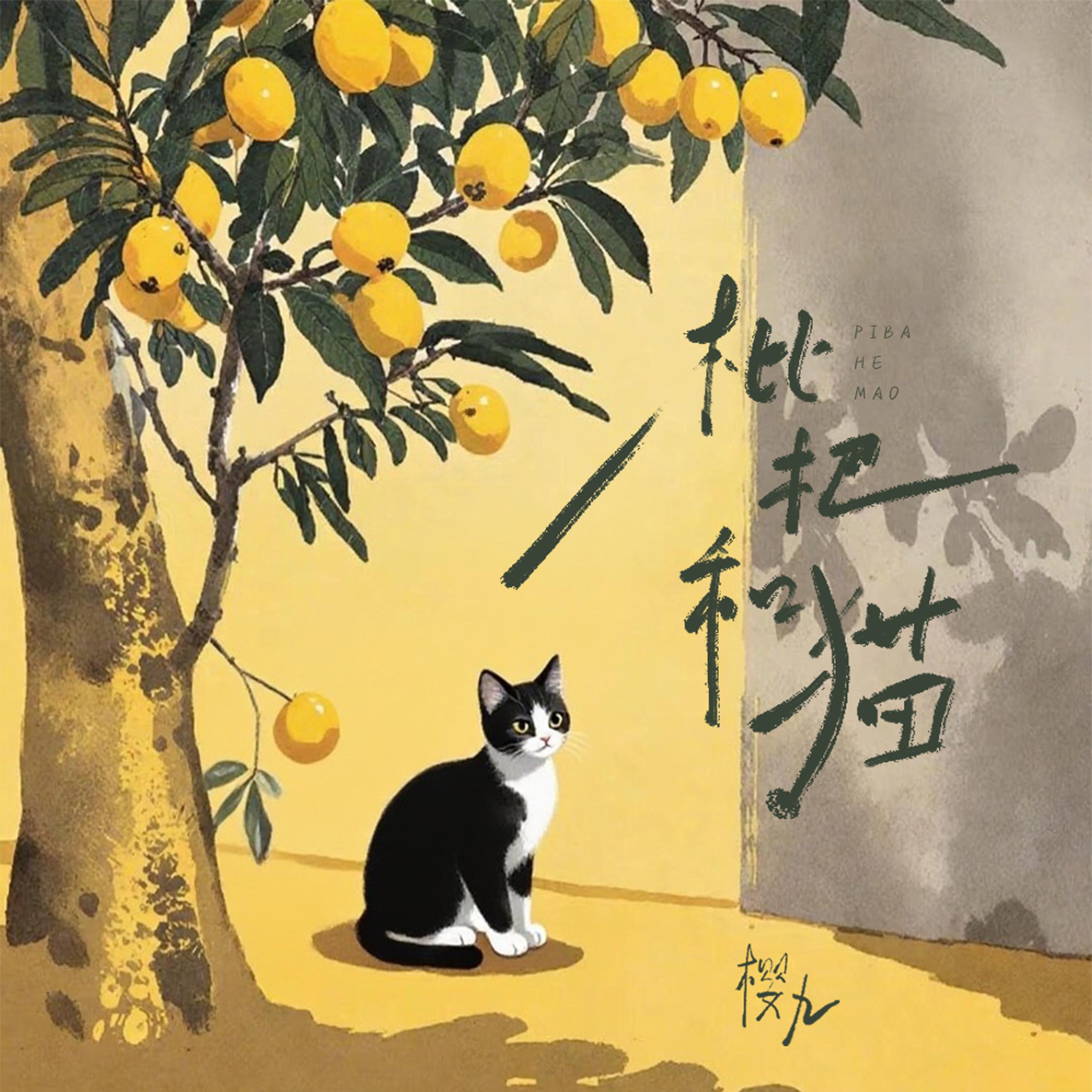枇杷和猫