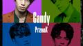 Candy专辑