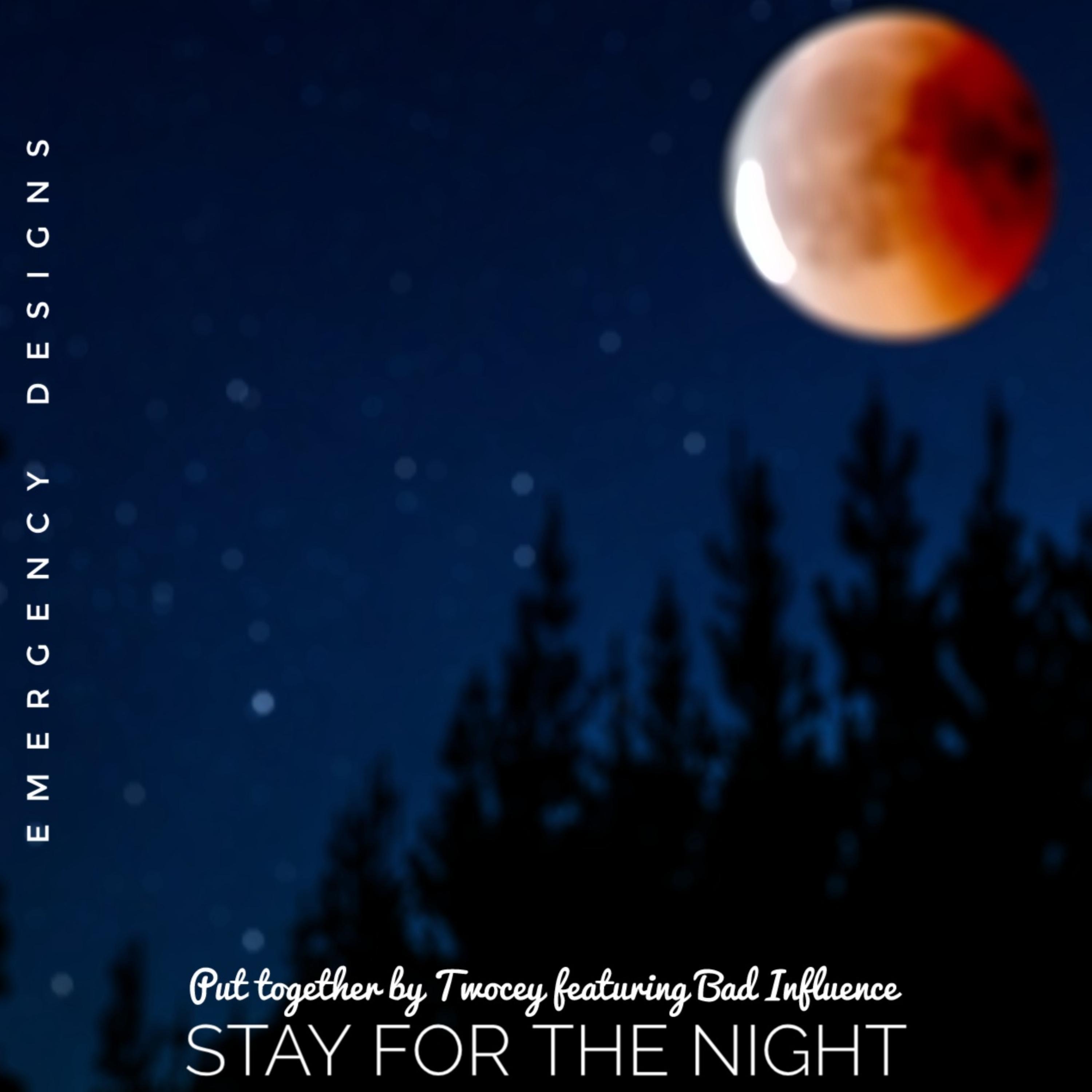Stay For The Night (feat. Bad Influence)