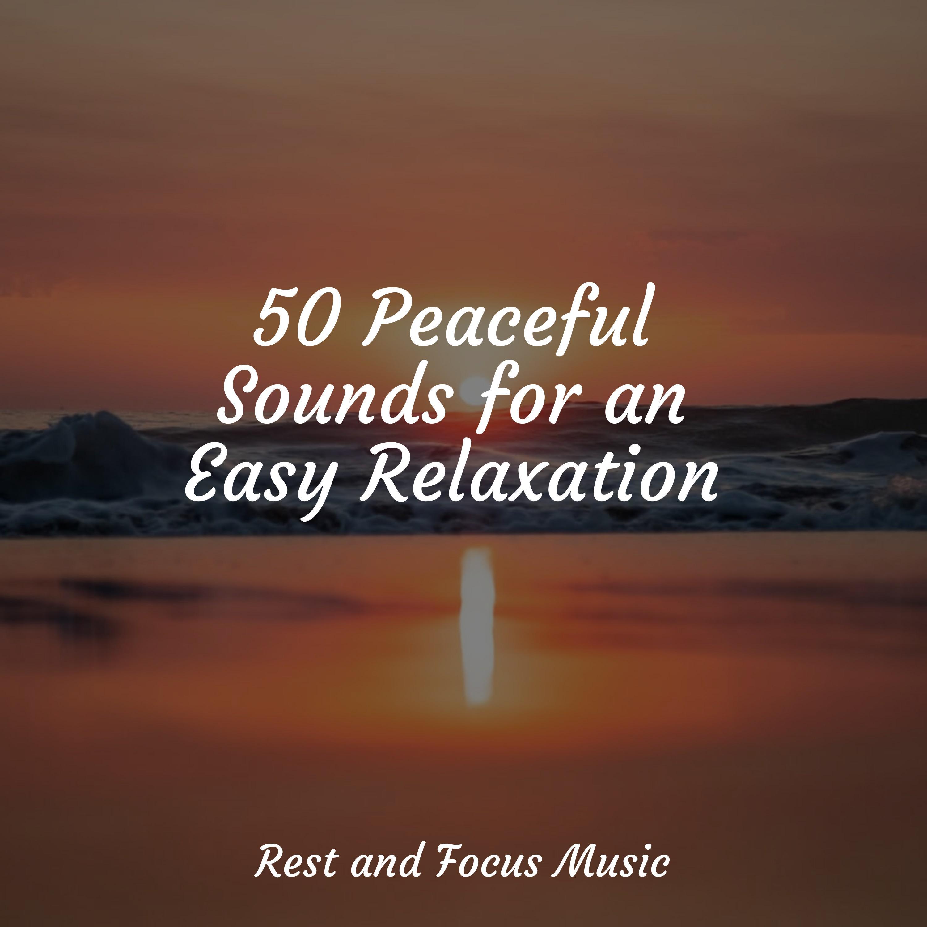 50 Peaceful Sounds for an Easy Relaxation
