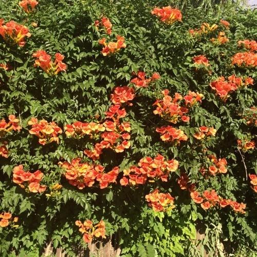 Anti Anxiety (Prod. joseph l'étranger)