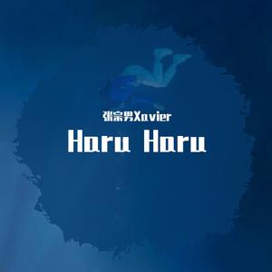 haru haru 纯钢琴伴奏 （升4半音）