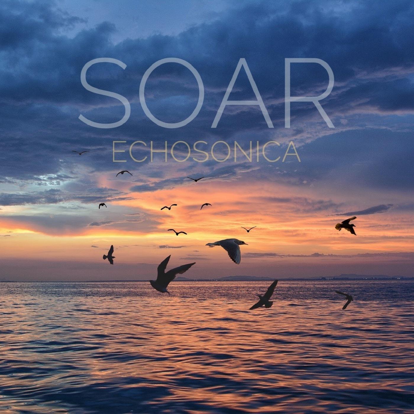 Soar