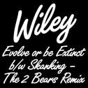 Evolve or be Extinct b/w Skanking - The 2 Bears Remix专辑