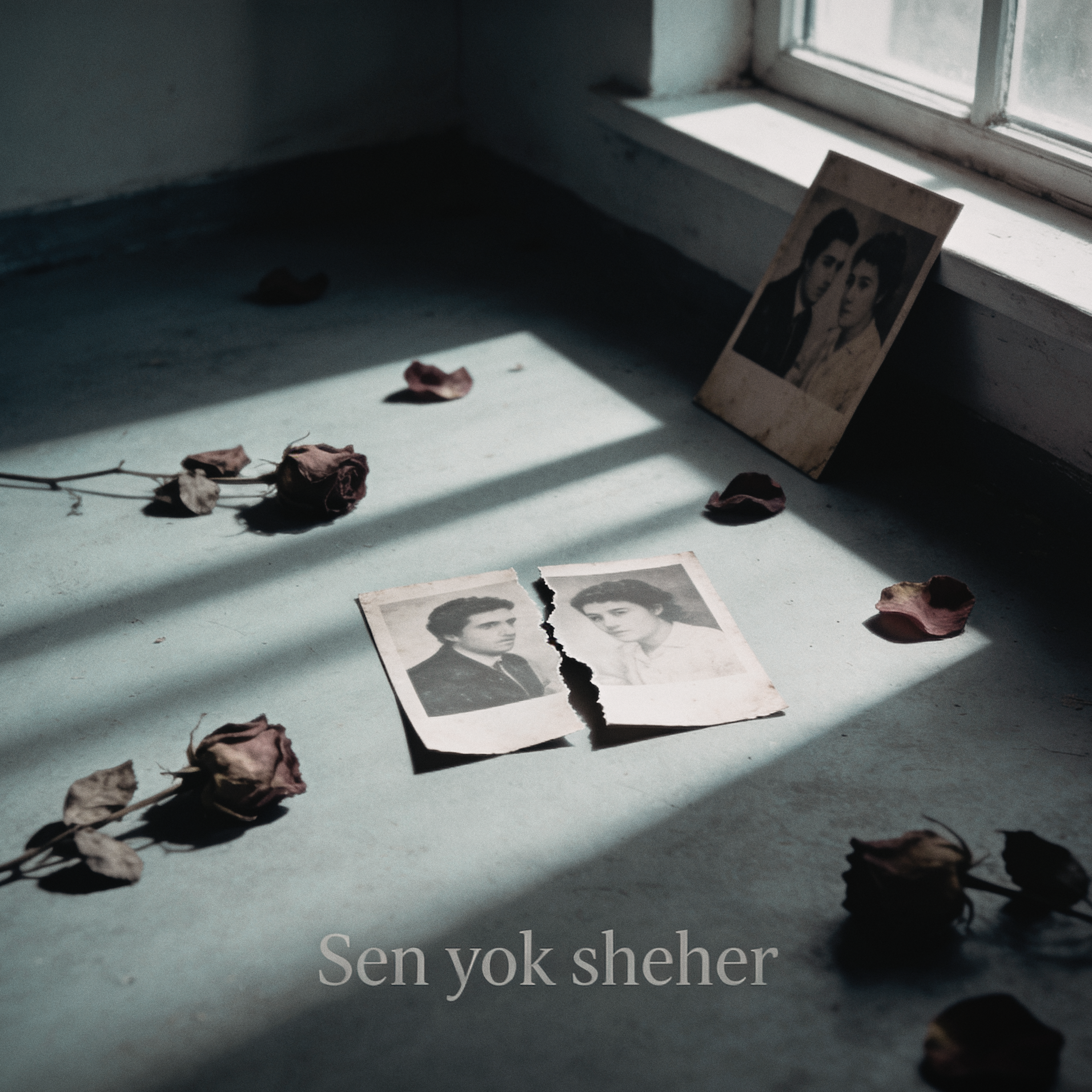 Sen yok sheher