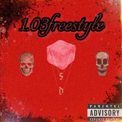 1.03Freestyle