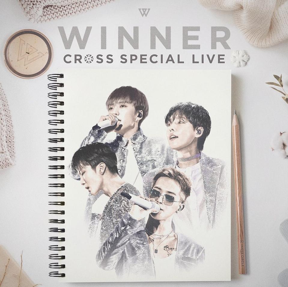 WINNER - REALLY REALLY (Inst) 伴奏