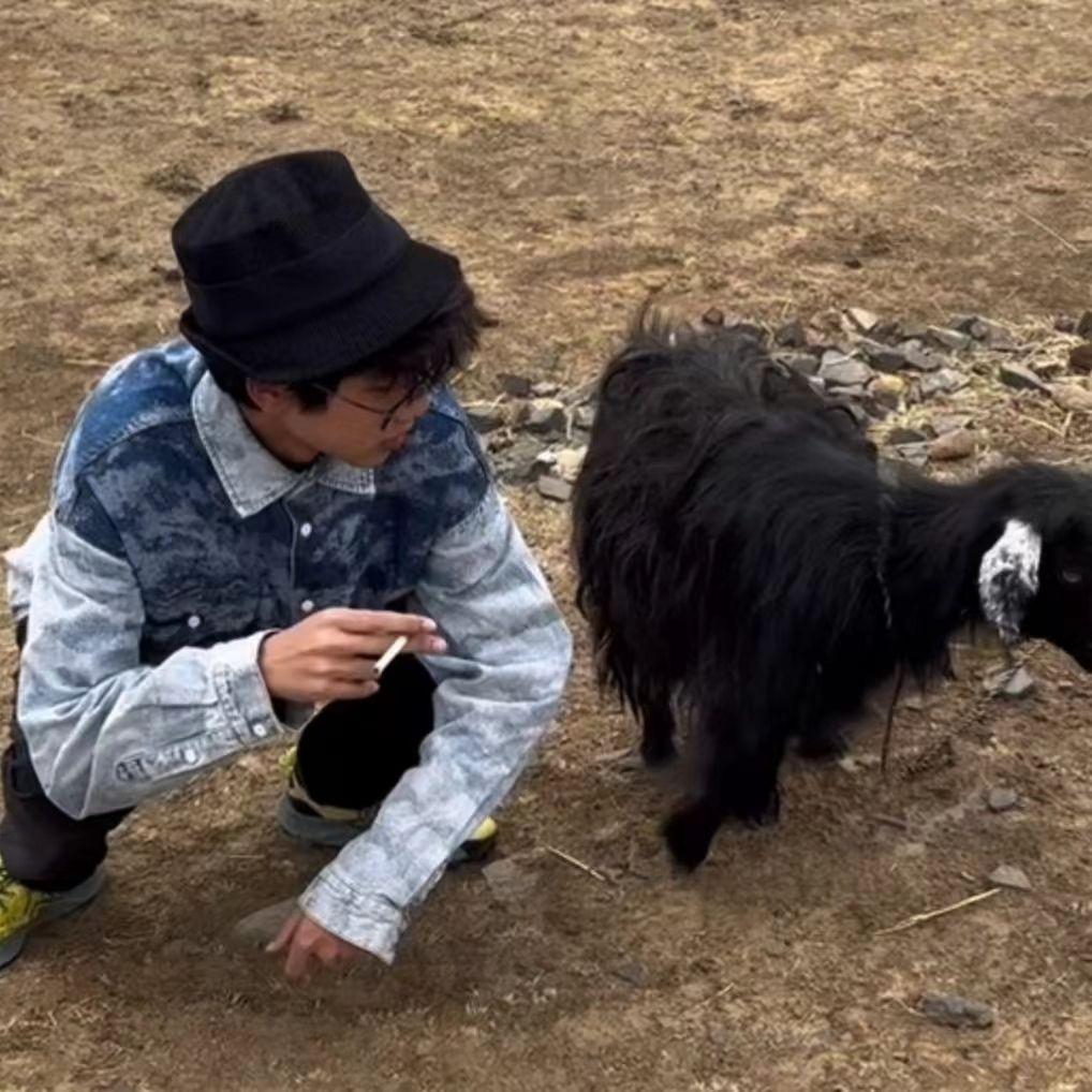 如果不能拥抱我就不要举起双手
