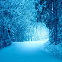 pov: its cold and almost christmas time