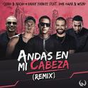 Andas En Mi Cabeza (Remix)专辑