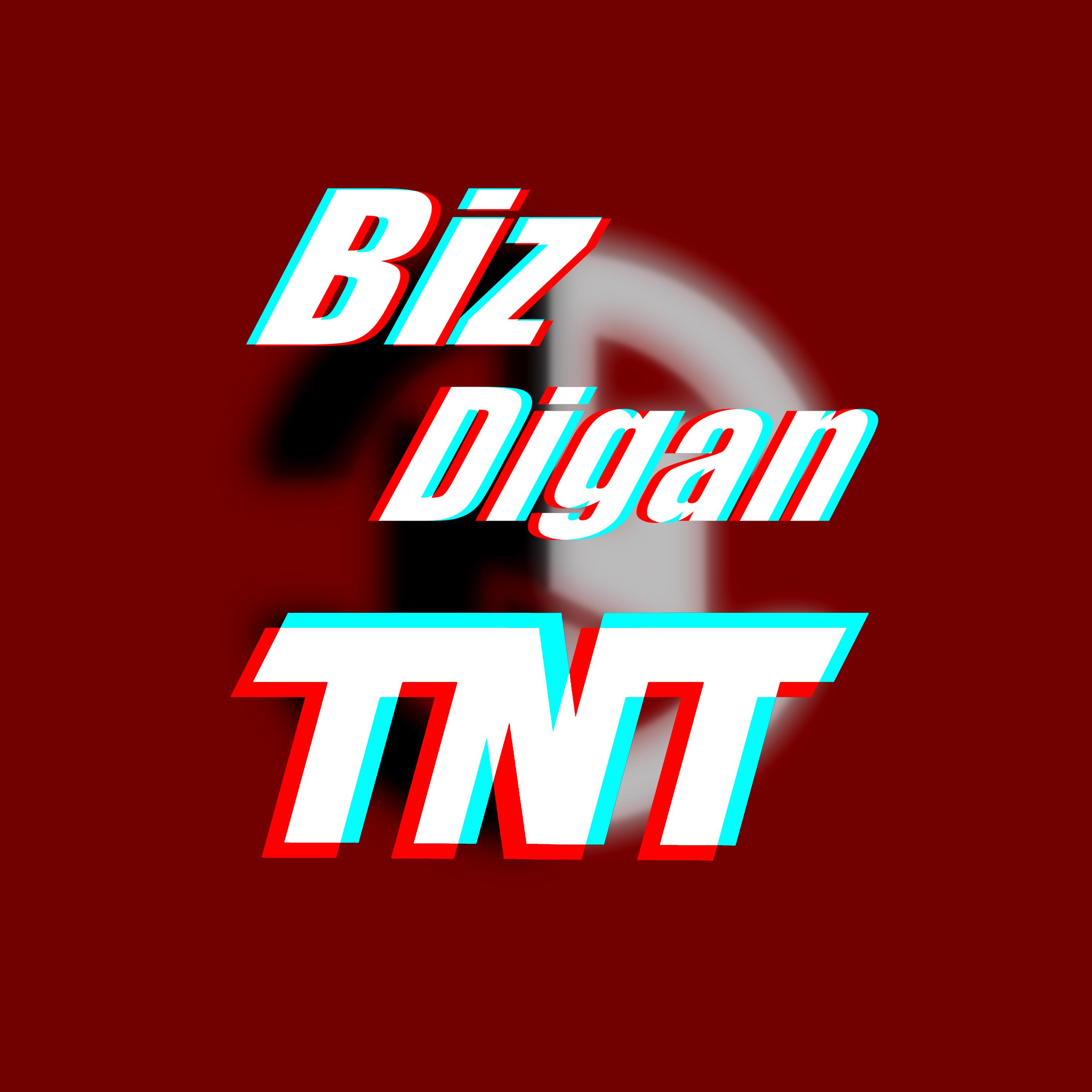 Biz Digan TNT专辑