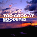 Too Good At Goodbyes (Ndrsn Remix)专辑
