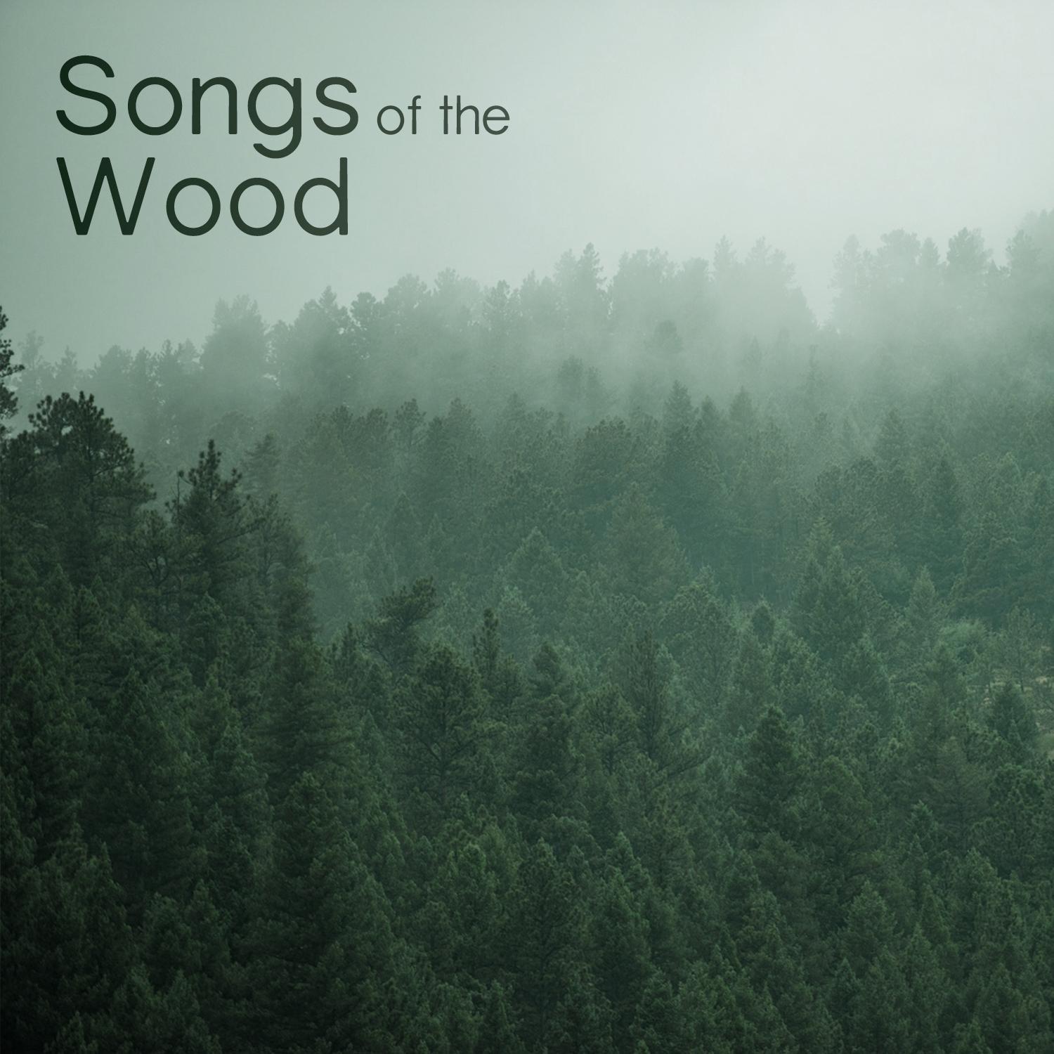 Songs of the Wood专辑