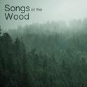 Songs of the Wood专辑