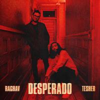 Raghav & Tesher - Desperado (Instrumental) 原版无和声伴奏