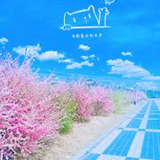 与你看云的日子