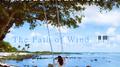 Rendezvous Vol. 1: The Path of Wind专辑