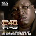 Function (Remix) [feat. Problem; Young Jeezy; Chris Brown; French Montana; Red Café]专辑