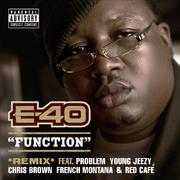 Function (Remix) [feat. Problem; Young Jeezy; Chris Brown; French Montana; Red Café]