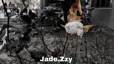 Jade.Zzy