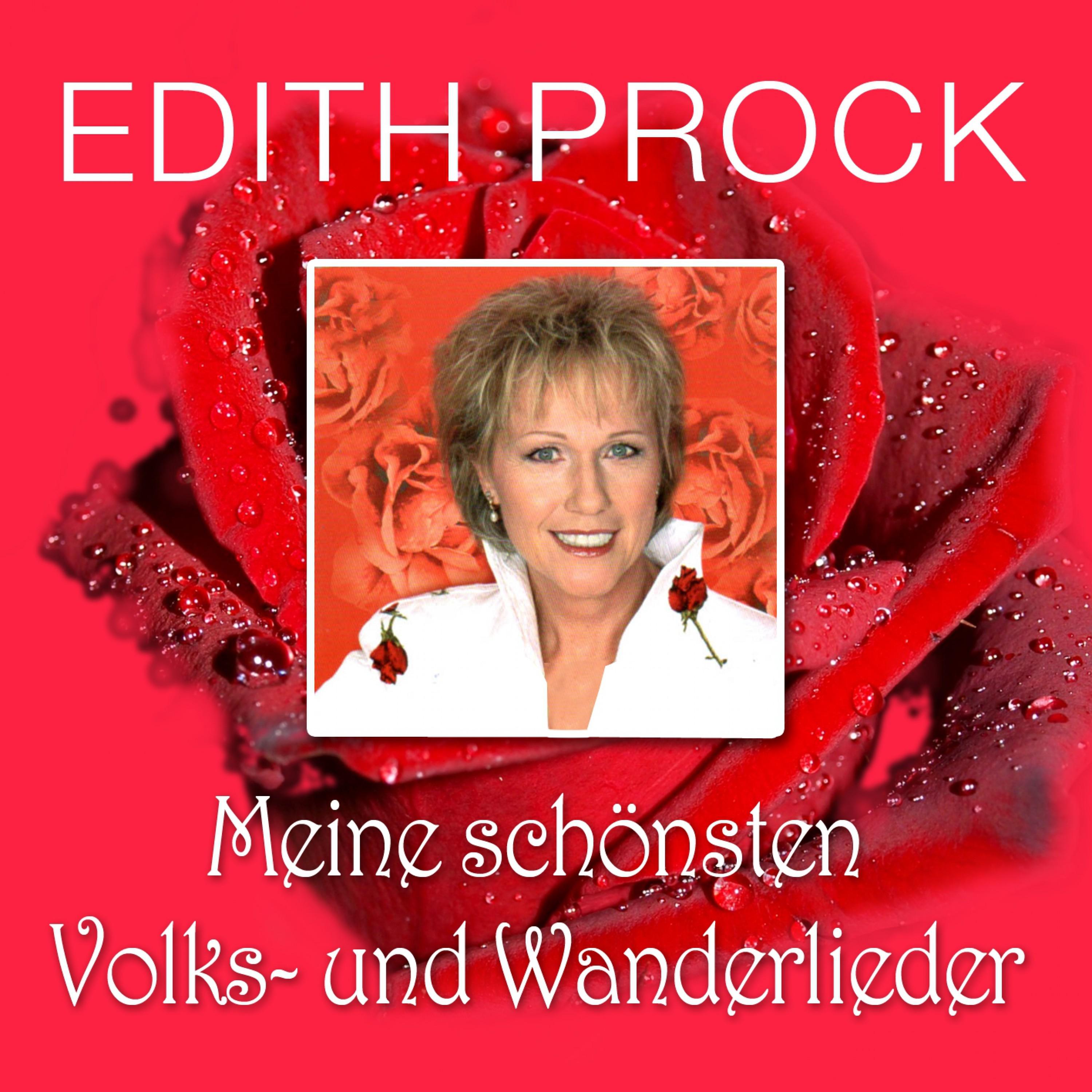 Meine schönsten Volks- Und Wanderlieder