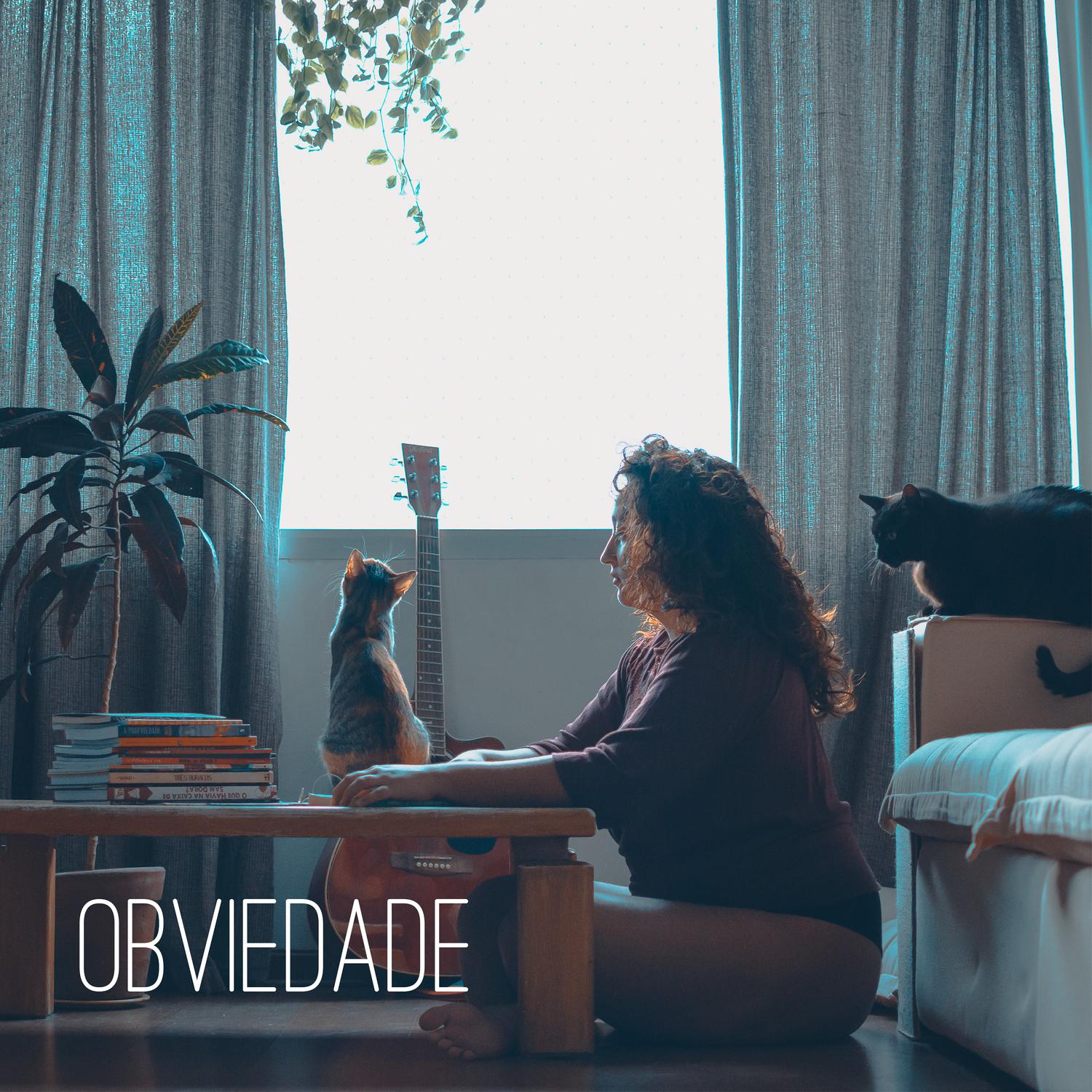 Obviedade