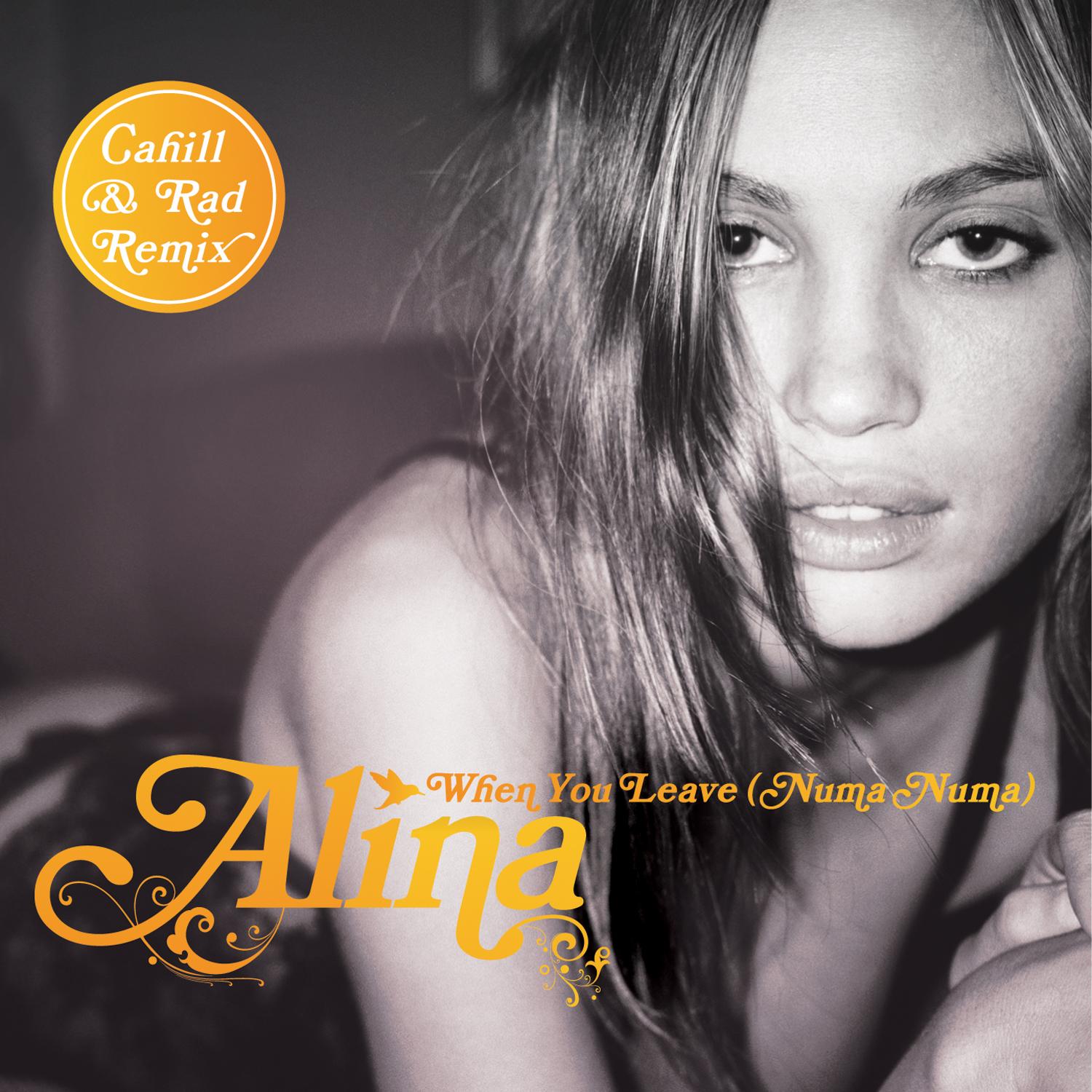 When You Leave (Numa Numa) [Remixes]