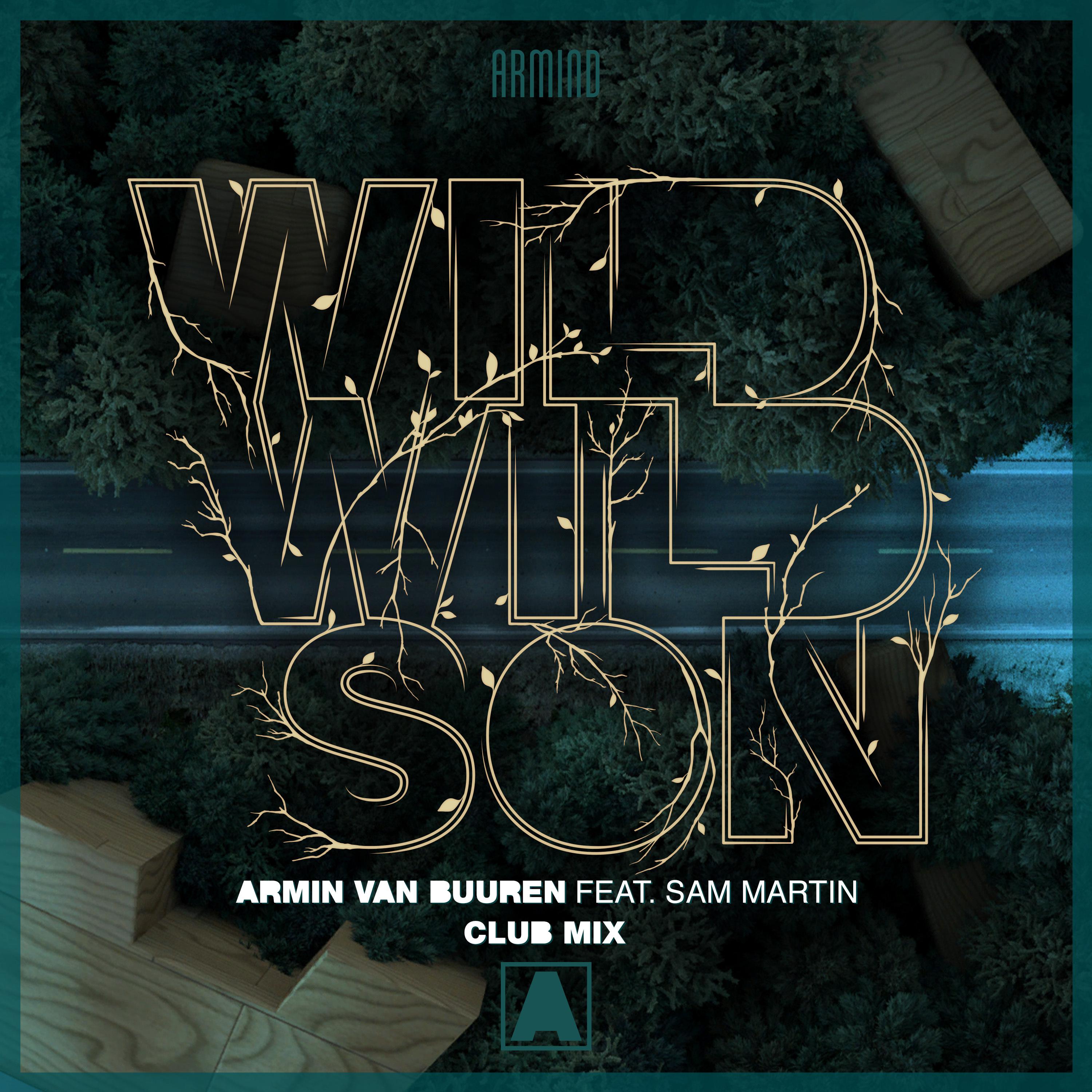 Wild Wild Son (Club Mix)专辑