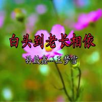 云南山歌伴奏-白头到老共枕眠（芬芬）