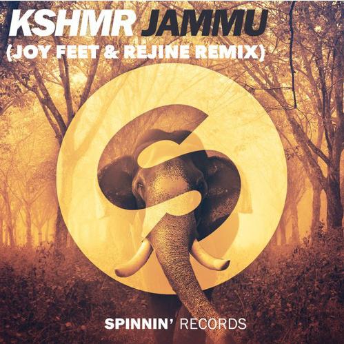 Jammu (Joy Feet & Rejine Remix)专辑