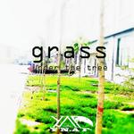 Grass under the tree专辑